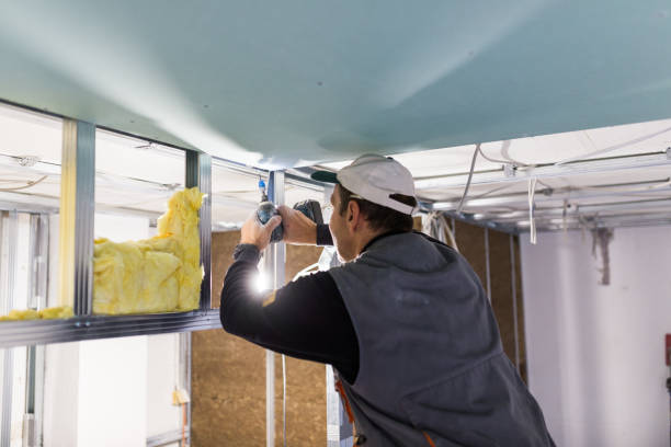 Types of Insulation We Offer in Green Level, NC