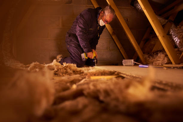 Best Eco-Friendly Insulation in Green Level, NC